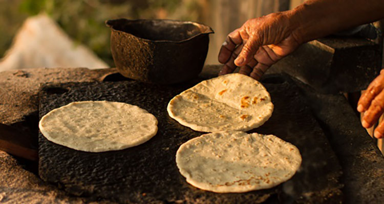 tortilla