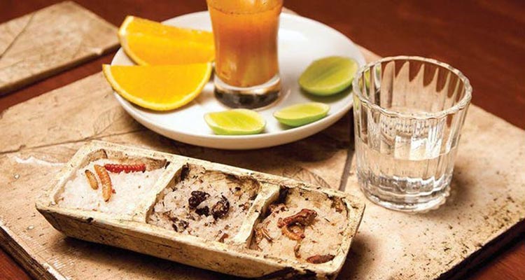 mezcales