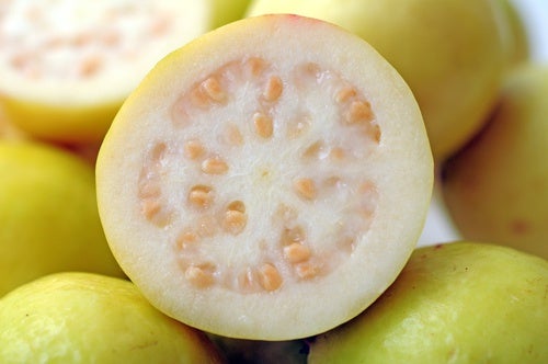 Guayaba-500x332